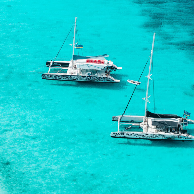 BluefinnCharterCatamaransKC 800x800